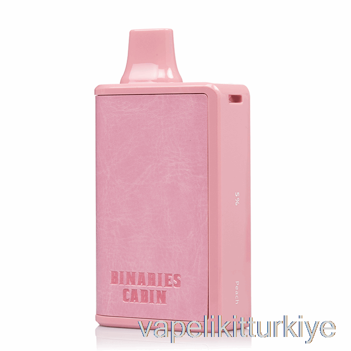 Vape Likit Ufuk Ikili Dosyalar Kabini 10000 Tek Kullanımlık şeftali